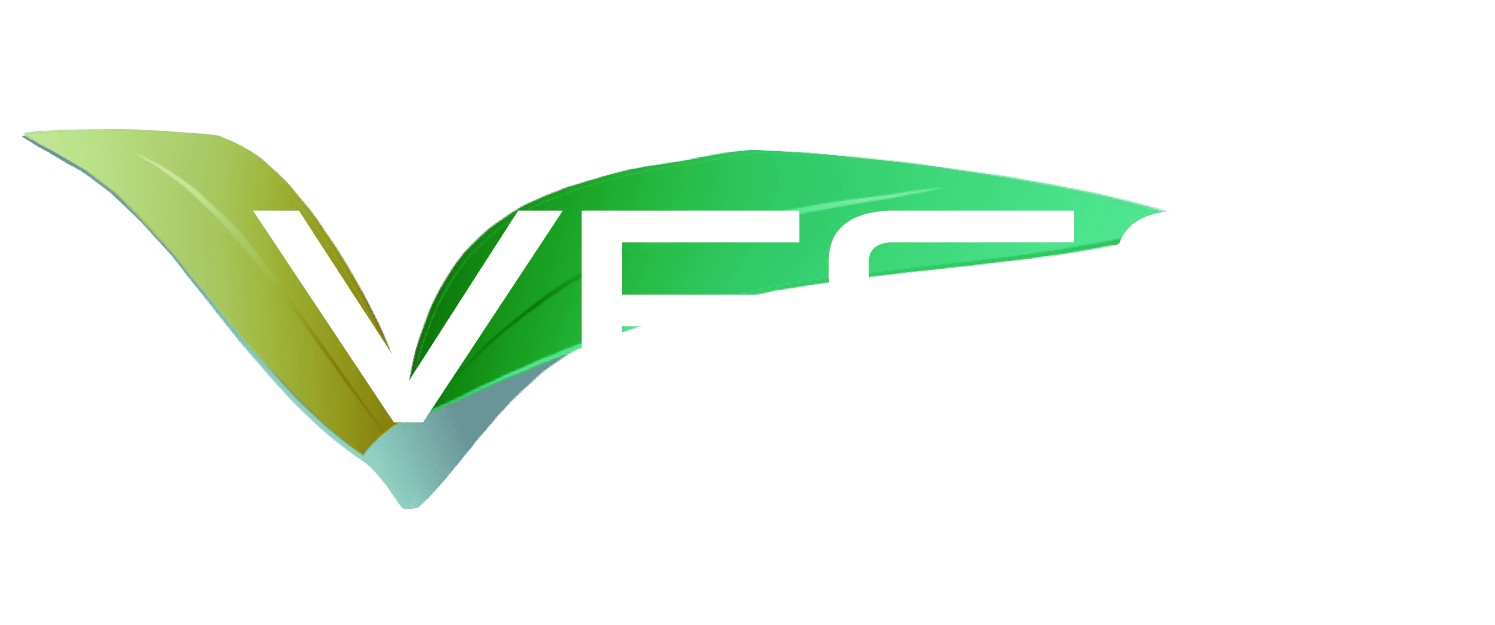 Logo VESO Concept blanc